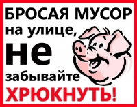 Бросил мусор – плати!